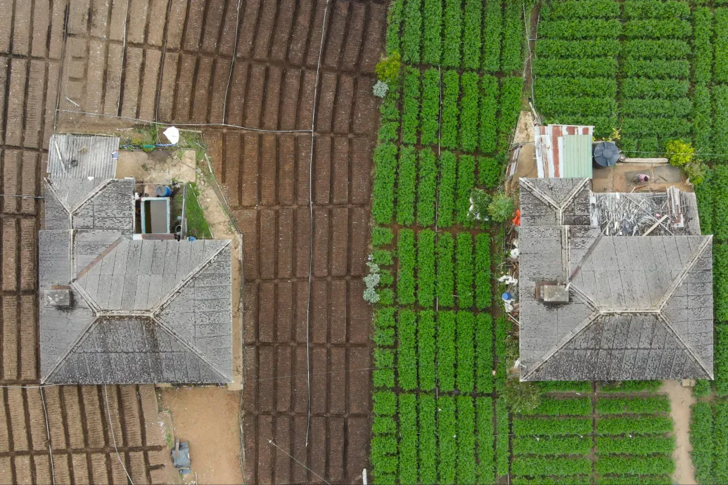 Ha egy biofarm mellett van egy hagyományos, az utóbbinak több kártevőirtót kell használnia