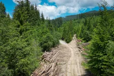 Jóváhagyta a kormány az új erdészeti törvényt, a civilek tiltakoznak