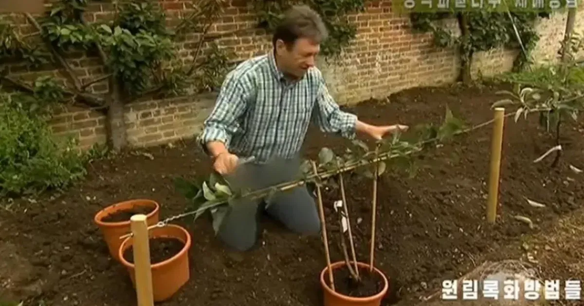 Durva volt a farmer, cenzúrázta a brit kertész lábait az észak-koreai tévé