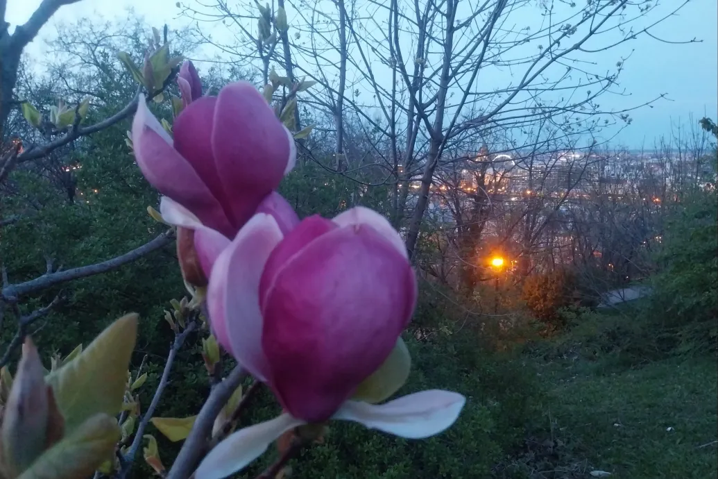 Májusi időt idéz a húsvéti hosszú hétvége