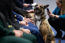 4,2 milliárd forintnyi kártérítést ítéltek meg Los Angelesben egy volt kutyakiképző rendőrnek, akit kókuszpálmamászónak csúfoltak a kollégái