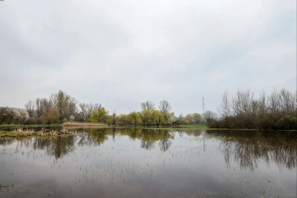 Olyan mesebeli táj készül, ahol még a vízi tündérek is boldogan táncolnának