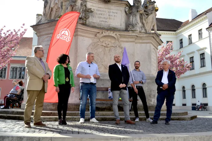 Két párt is beállt a független soproni polgármesterjelölt mögé