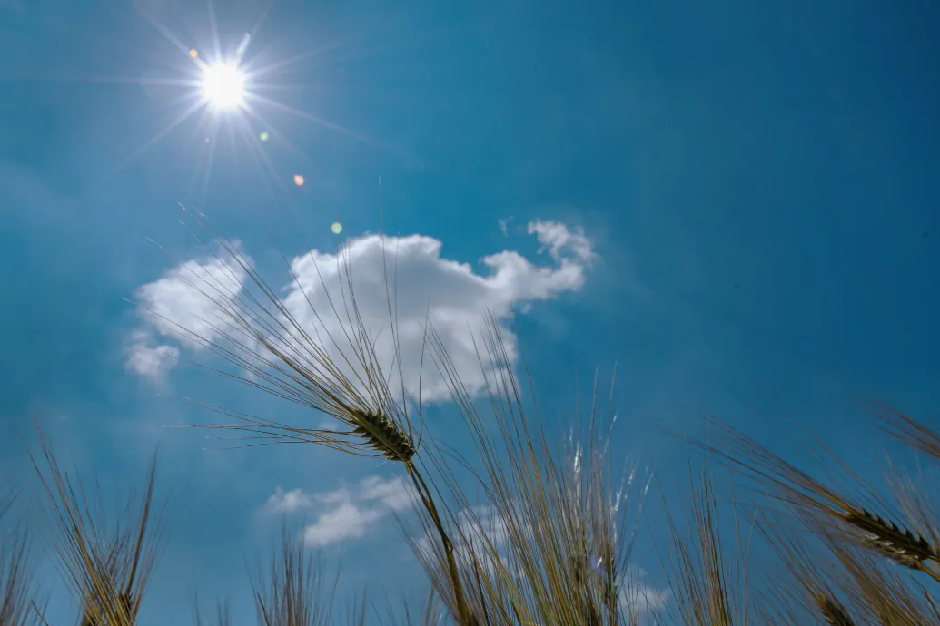 Folytatódik a nyárias idő, a hét közepén érkezhet egy kisebb hidegfront