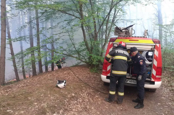 Tűz ütött ki a kolozsvári Bükk-erdőben, tíz hektáron terjedt el
