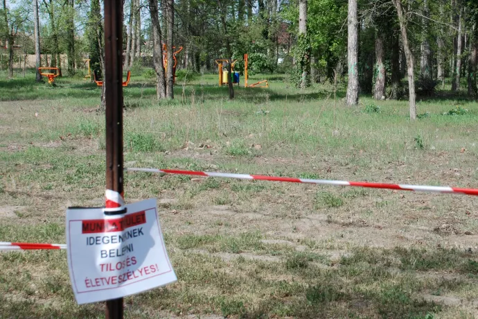 Kivágott fatörzseken is látható a zöld jelölés, az egy éve megnyitott erdei fitneszpark területére pedig most tilos belépni – Fotó Móra Ferenc Sándor / Telex
