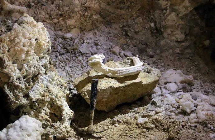 A kristályagyar ismét a régi helyén, a barlangban – Fotó: Varga Edit / BEBTE