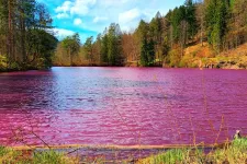 Lezárták a füsseni lila tavat az odagyűlt bámészkodók miatt