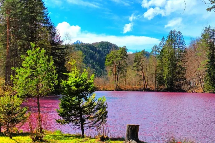 A füsseni lila tó április elején – Fotó: Veronika Lešková