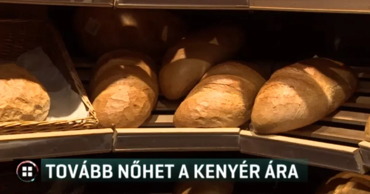 A magyar kenyér már drágább az uniós átlagnál, és még tovább is drágulhat