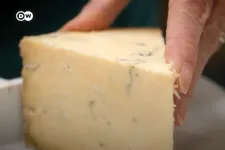 A sajt, amivel olyan gyengéden kell bánni, mint egy csecsemővel
