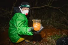 Mérgező anyagot találtak a Salgóban egy hulladék-feldolgozó cég telephelyén