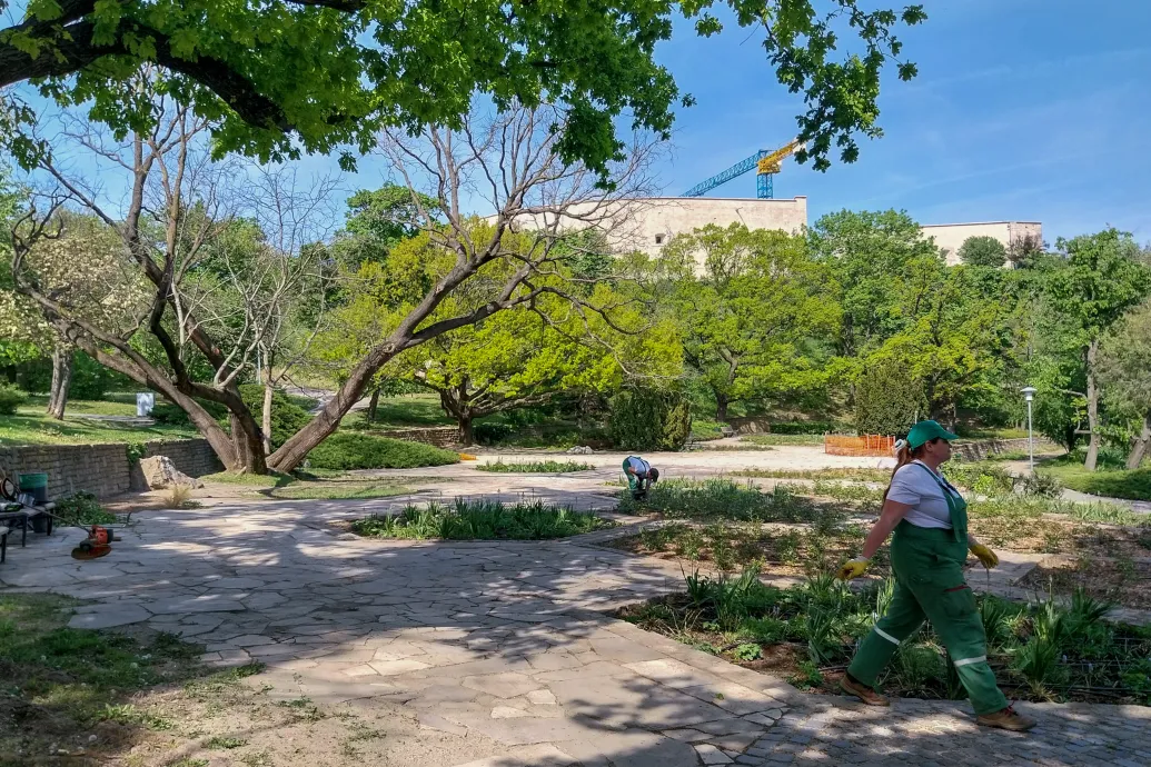 Lehet, hogy mi örültünk az április nyárnak, de a természet összezavarodott