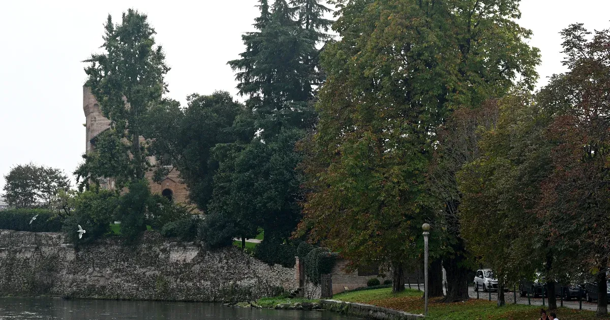 Betiltották a fára mászást egy olasz kisvárosban