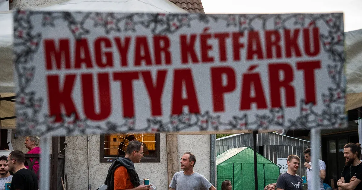 Képviselőjelölteket jelentett be a hegyvidéki DK minden olyan egyéni körzetben, ahol kutyapártosok indulnak