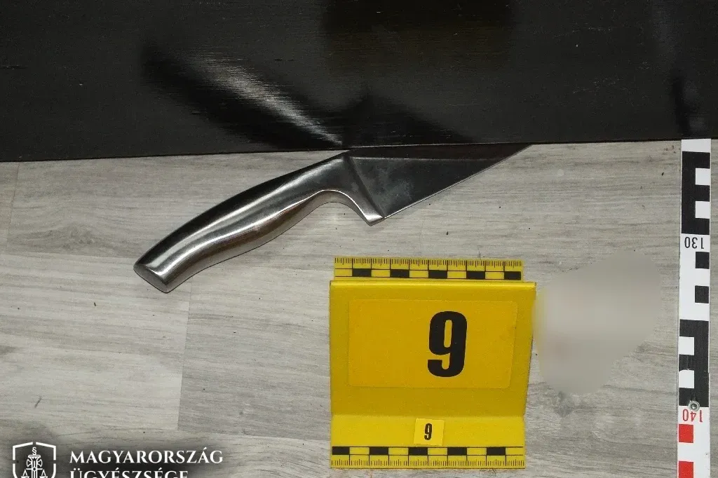 Nem engedte tovább inni, ezért a felesége egy 20 centis késsel mellkason szúrta, de túlélte