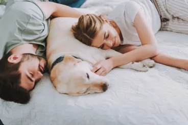Tényleg jó ötlet felengedni a kutyát az ágyra?