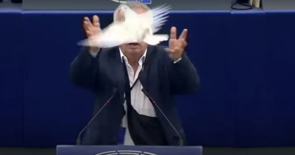 Eleresztett egy békegalambot a szlovák képviselő az Európai Parlamentben