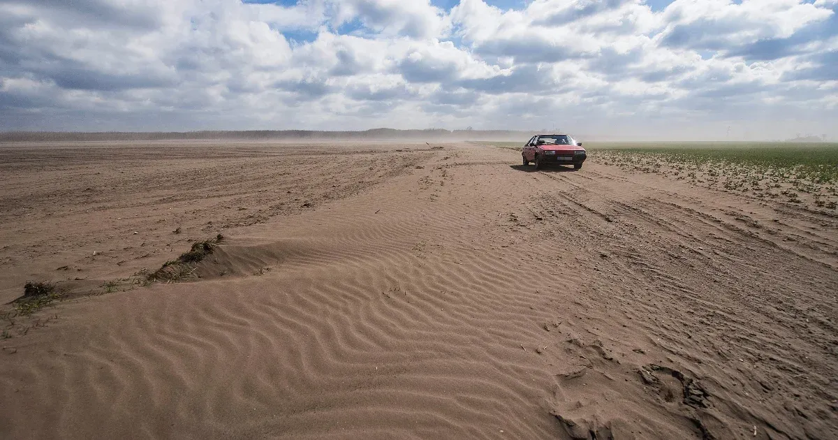 A gazdák kínlódnak, de a kormánynak nem sürgős a vízpótlás a sivataggá váló homokhátságon