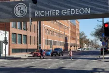 Turbófokozatba kapcsolhat saját maga felvásárlásával a Richter