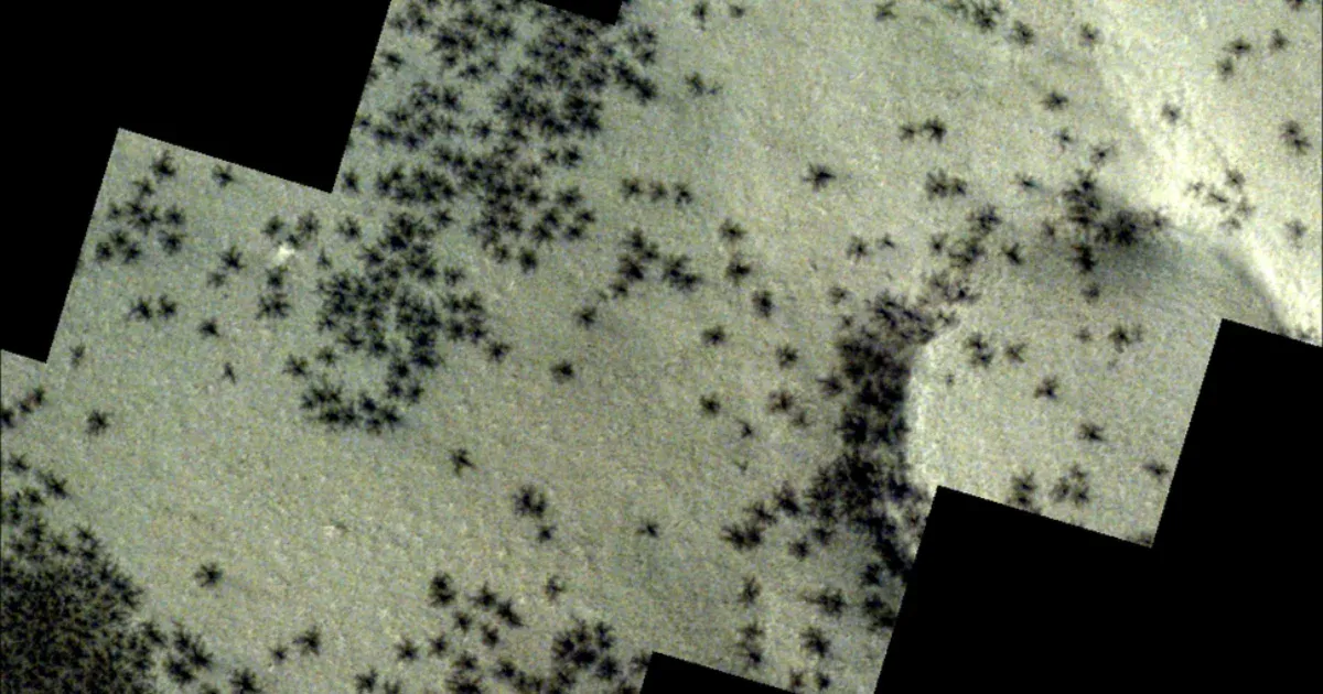 Óriáspókhoz hasonló képződményeket fotóztak a Marson