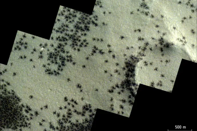 Óriáspókhoz hasonló képződményeket fotóztak a Marson