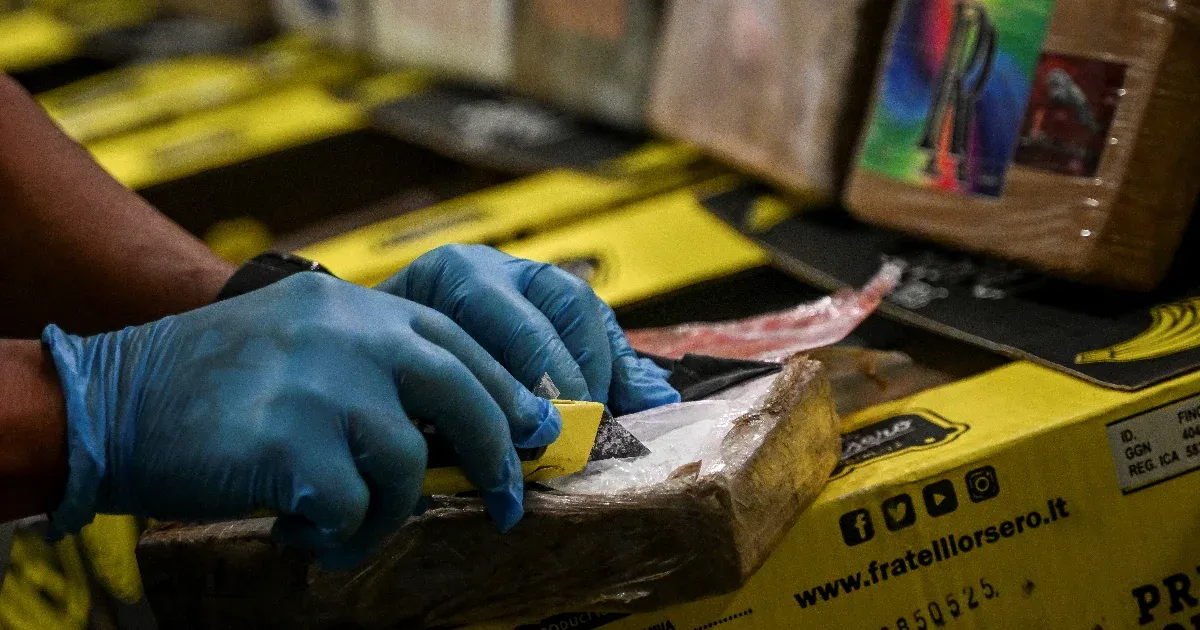 Több mint 200 kiló kokaint találtak német boltokba szállított banános dobozokban