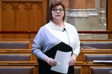 Felfüggesztette a parlament Gy. Németh Erzsébet mentelmi jogát az Áder húgáról szóló vádjai miatt