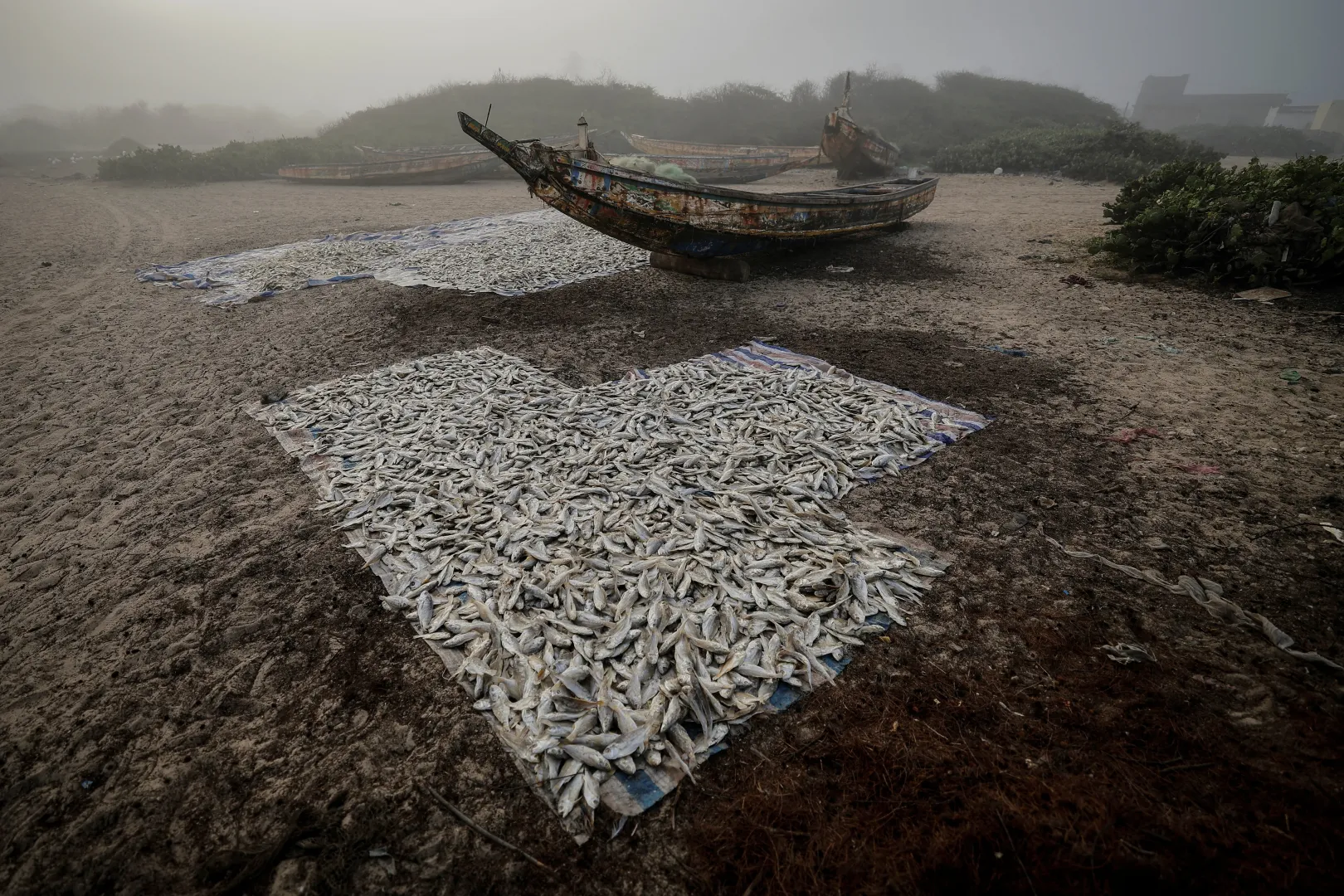 Szárad az aznapi fogás az óceánparton Fass Boyéban – Fotó: Zohra Bensemra / Reuters