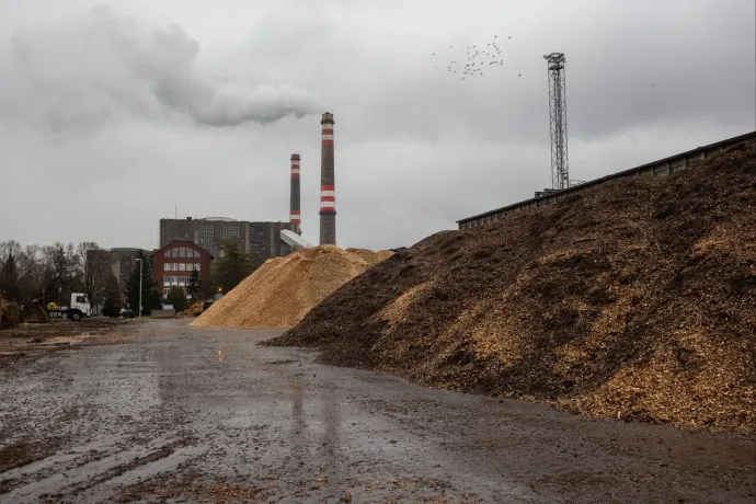 Csábító, mint a mézeskalács ház, de a klímaváltozást nem fogja megoldani a biomassza energetikai felhasználása