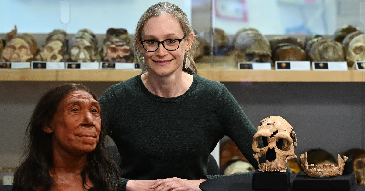 Egy pizzává lapított koponyából rakták össze, hogyan nézett ki egy neandervölgyi nő