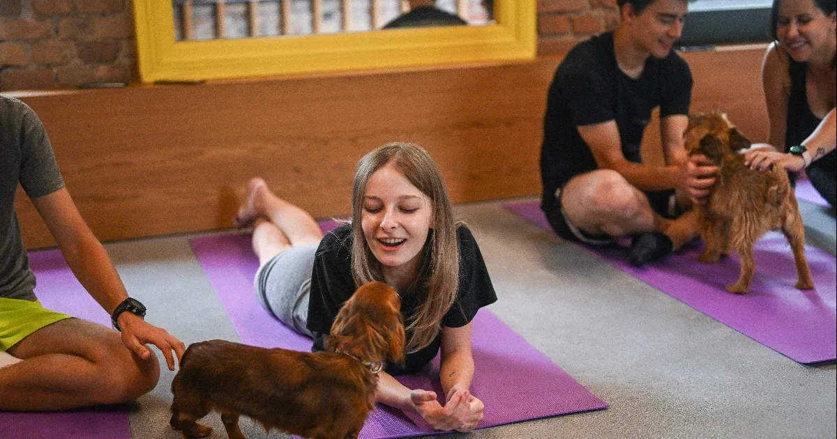 Los italianos prohíben el yoga con perros