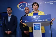 Molnár Csaba szerint Magyar Péter hazudik, amikor azt állítja, hogy a DK koalíciót kötne a Fidesszel