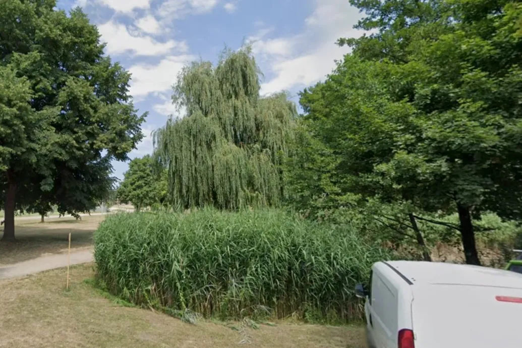 Emberi csontokat találtak egy tóban Ajkán