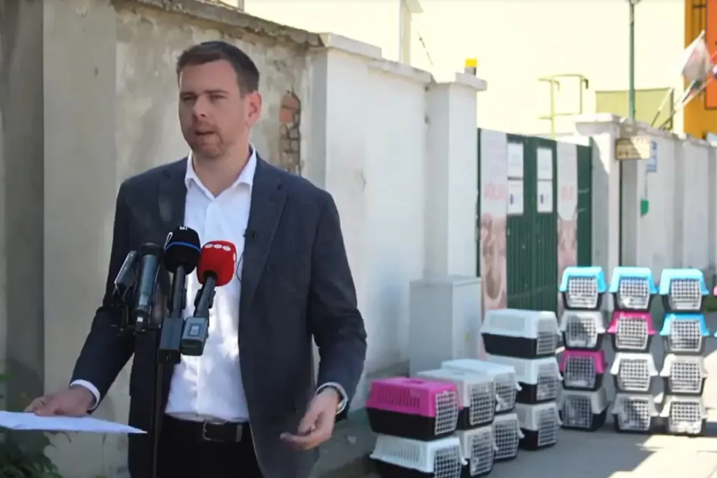 29 cicaketrec előtt állt bele Vitézy a fővárosi állatvédelembe