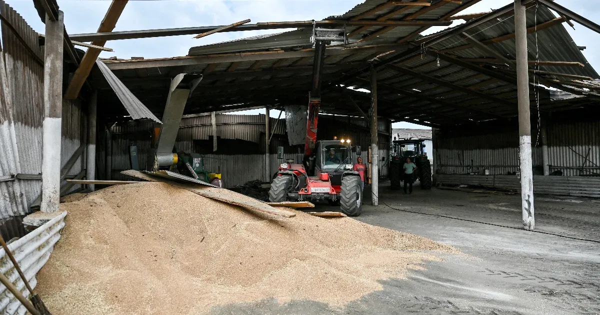 Vészfékkel hosszabbította meg az EU a szabad ukrán agrárimportot