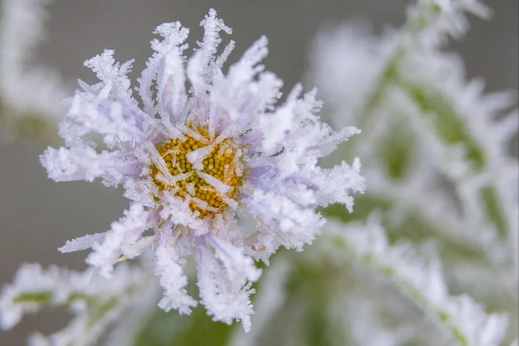-11 fokot is mértek hajnalban