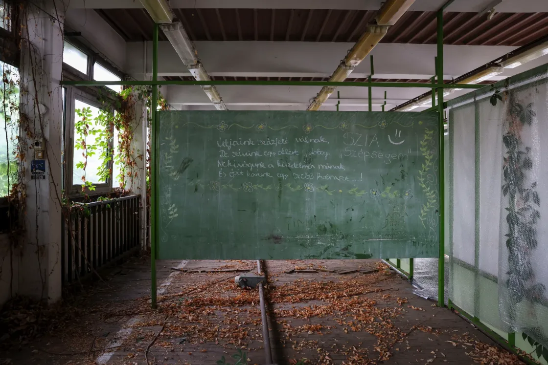 Tizenöt éve áll elhagyatottan az újpesti iskola, hamarosan megfizethető bérlakásokat alakítanak ki benne