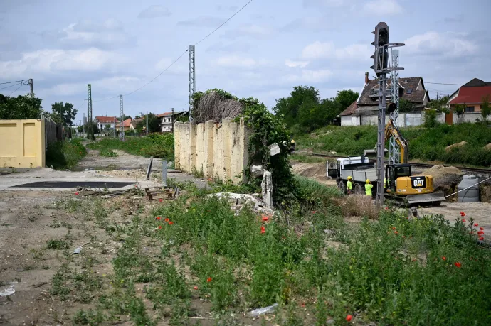 Fotó: Bődey János / Telex