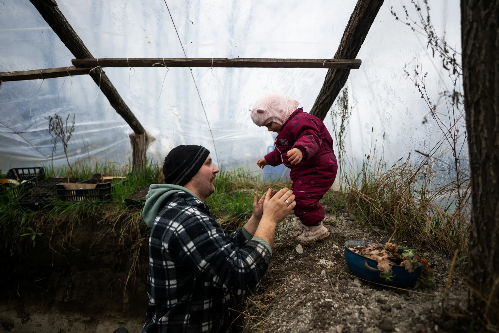 László és kislánya, Boróka a fóliasátorban – Fotó: Mónus Márton / Reuters