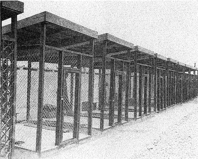 A ketrecsor, amelynek bal oldali ketrecében Ezra Poundot fogva tartották – Fotó: Wikimedia Commons