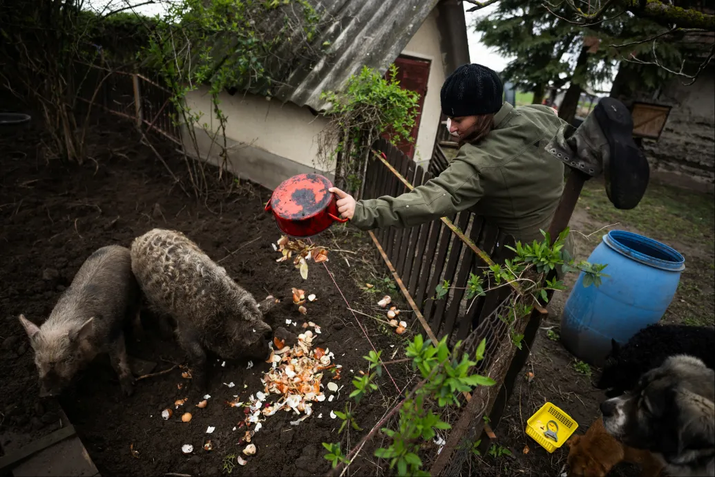 The best part of this way of life is the freedom – self-sustaining farms in Hungary