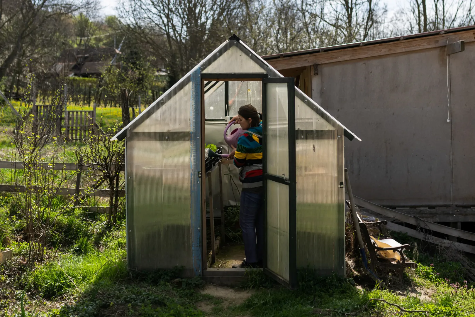 Andrea Czikó watering the plants at Ákos Varga's farm in Nagyberény on 26 March 2024 – Photo: Márton Mónus / Reuters