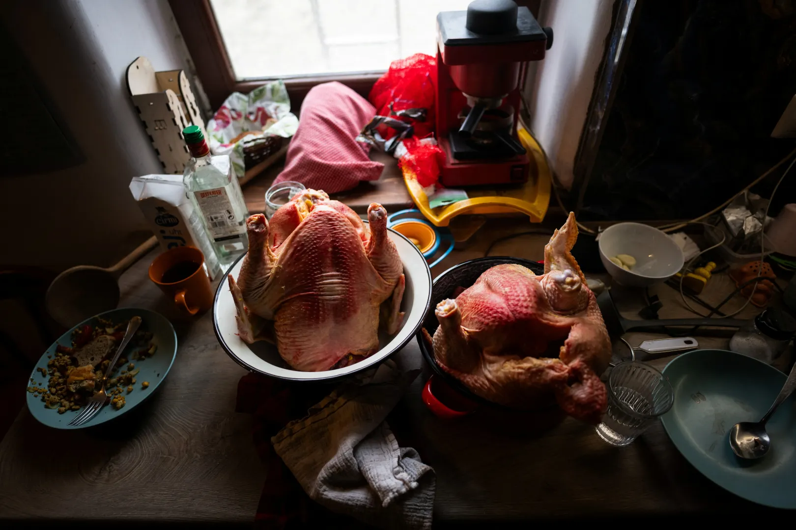 Polli appena macellati sulla tavola della fattoria Kemencei – Foto: Márton Mónus / Reuters