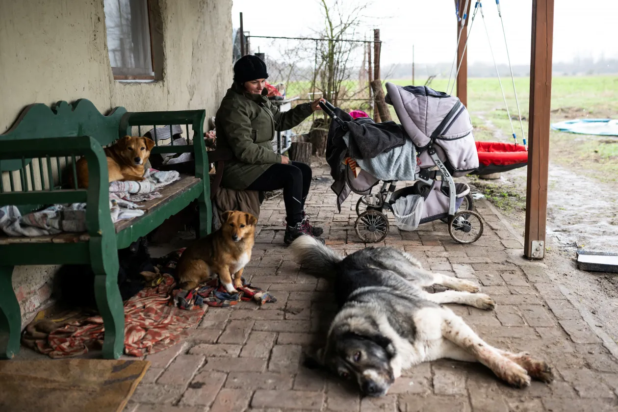 Cintia Mnyere lulling her baby daughter to sleep on the porch of their farmhouse in March 2024. In the other picture, László and his wife Cintia, their daughter Boróka and their friends Krisztián Kisjuhász and his wife Zsanett Homoki are having lunch in March 2024 Photo: Márton Mónus / Reuters