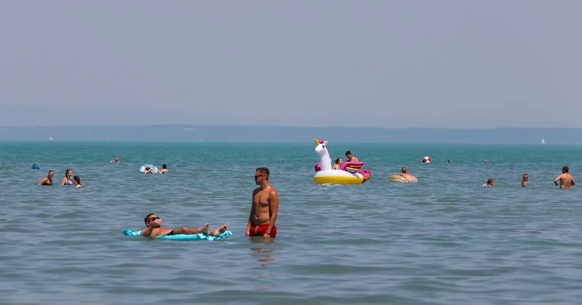 Hat hazai élővízbe ne merészkedjünk fürdőzés előre megfontolt céljával!