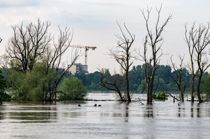 Két és fél napot töltött egy fán egy német nő a Duna áradása miatt