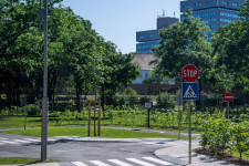 Megpecsételheti a Liget-projekt sorsát Szentkirályi Alexandra visszalépése