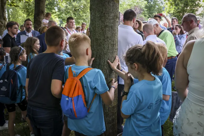 Kapu Tibor, Cserényi Gyula és Farkas Bertalan a balatonfüredi űrfa előtt – Fotó: Melegh Noémi Napsugár / Telex