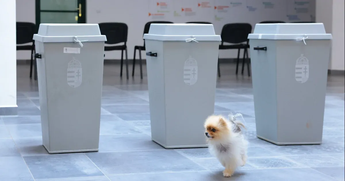 Hivatalosan véget ért a szavazás, este fél 7-kor rekordnak számító, 56,09 százalékos volt a részvétel, 20 óra után várhatóak az első eredmények